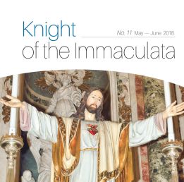 Knight Of The Immaculata No Militia Immaculatae