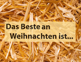 Fluglatt Weihnachten Wil 2