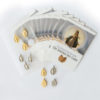 Apostolate-Kits