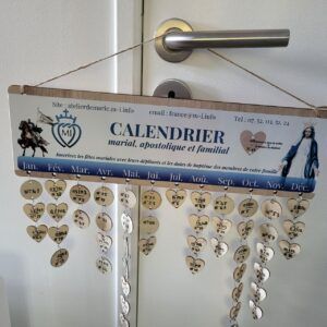 photo 2025 06 17 09 39 53