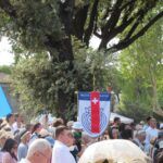 IMG 2030 web