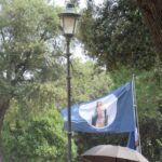 IMG 2063 web